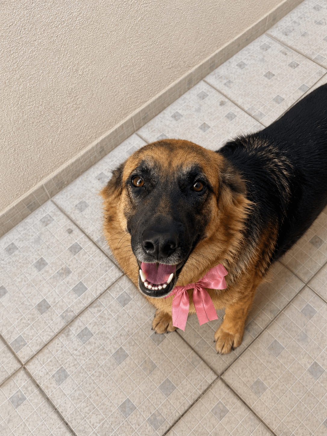 Athena depois do resgate, recuperada